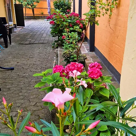 Apartment Casa Gia Og *