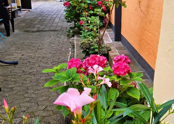 Apartamento Casa Gia Og *